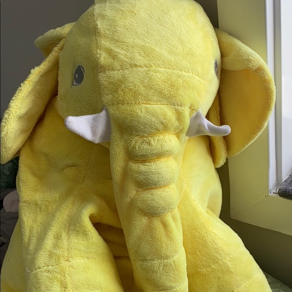 Meet your Posher, Freda - Picture 1 of 1